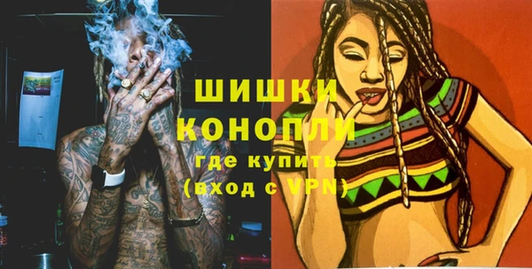 твердый Осинники