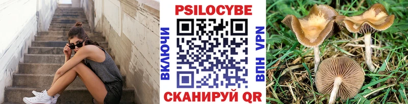 купить  цена  Красноуфимск  Псилоцибиновые грибы ЛСД 